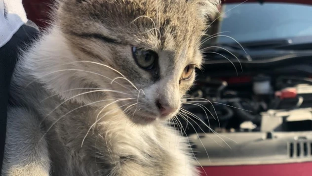 'Kontağı çevirmeden kaputa vurun'