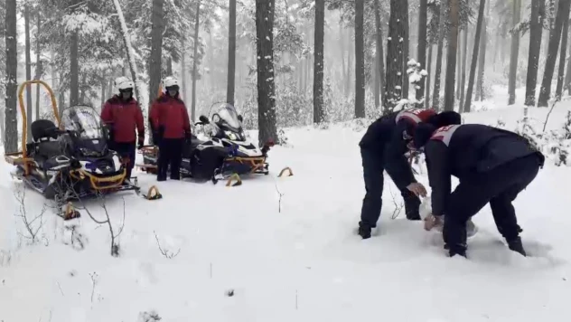 Kars'ta jandarma yaban hayvanlarına yiyecek bıraktı