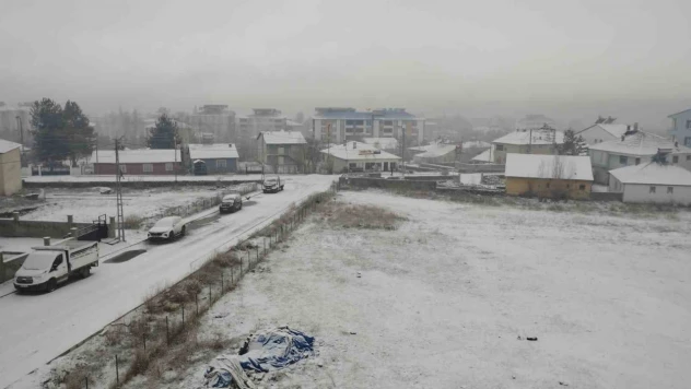 Varto'da kar yağışı