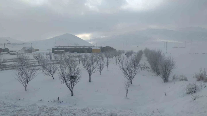 Van'da ağaçlar kırağı tuttu