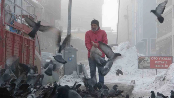 Aç kalan güvercinleri esnaf besliyor