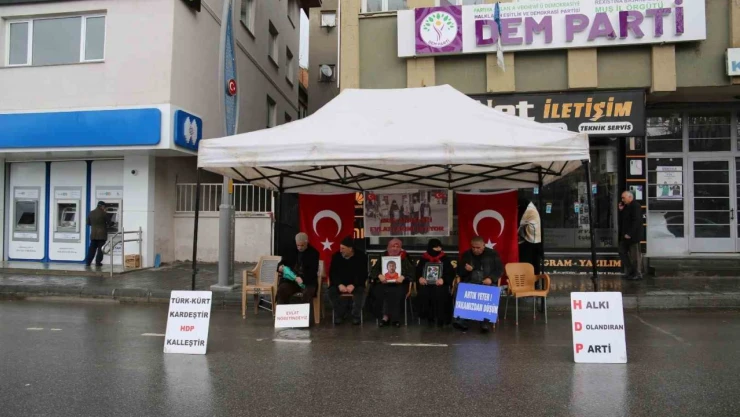 Acılı Anne Koçhan: 'Onların çocukları üniversitelerde okuyor, bizimkiler de dağların başında'