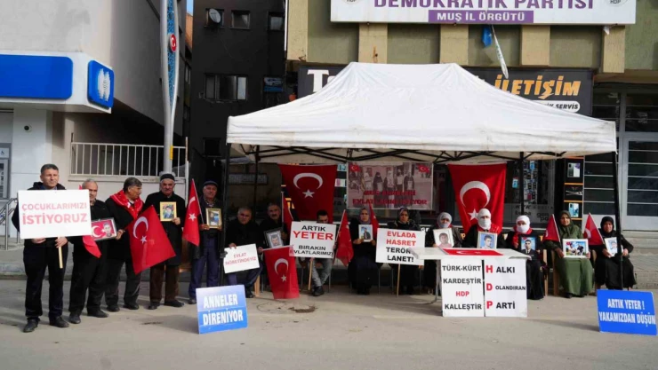 Acılı anne Necibe Çiftçi: 'HDP ve PKK bir oğlumu dağa kaçırdı, bir oğlumu ise infaz etti'