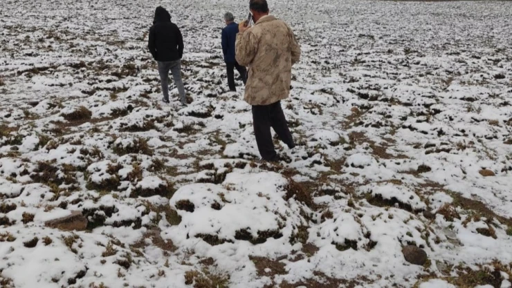 Adilcevaz'ın yüksek kesimleri beyaza büründü