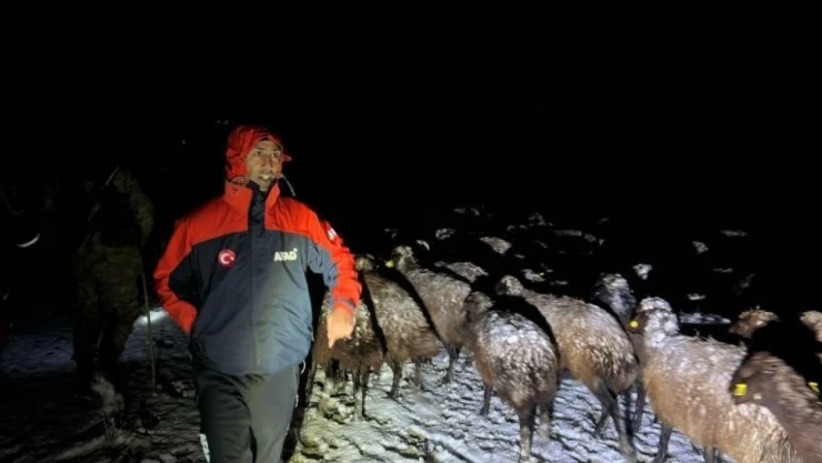 Ağrı'da mahsur kalan 3 çoban ve 3 bin koyun kurtarıldı