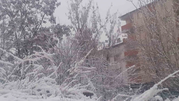 Ağrı'da Mart'ta kar sürprizi: Şehir beyaza büründü