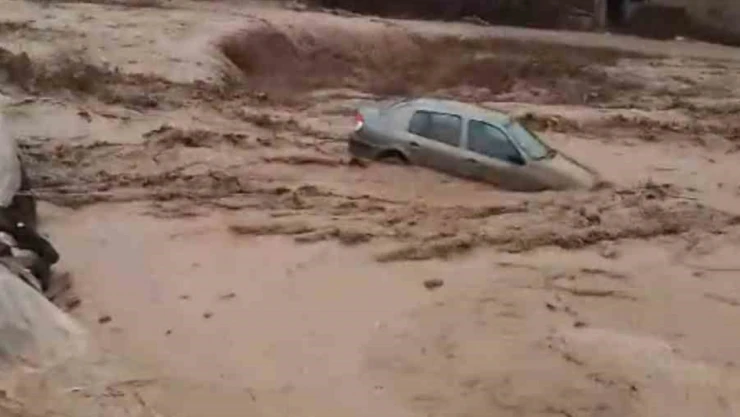 Ağrı'da yıldırım düşmesi sonucu çoban yaralandı