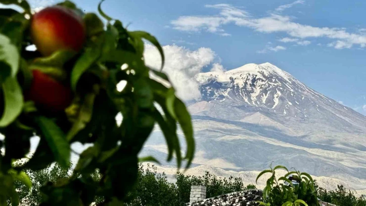 Ağrı Dağı ihtişamıyla göz kamaştırıyor