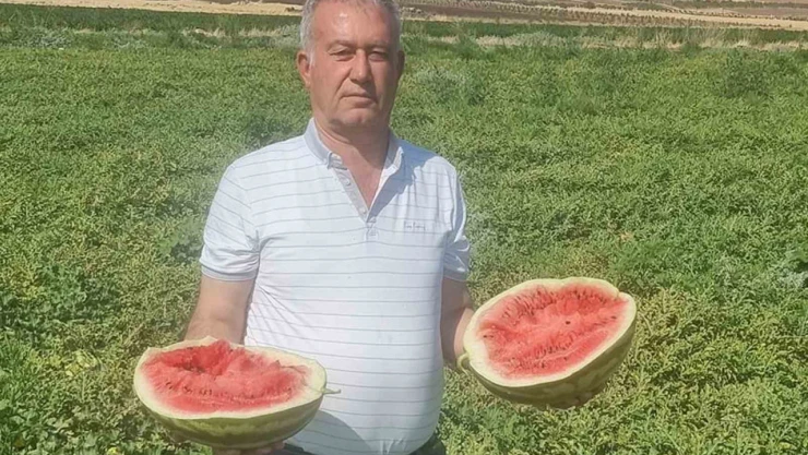 Altun: 'Tarlada bedava, rafta ateş pahası'