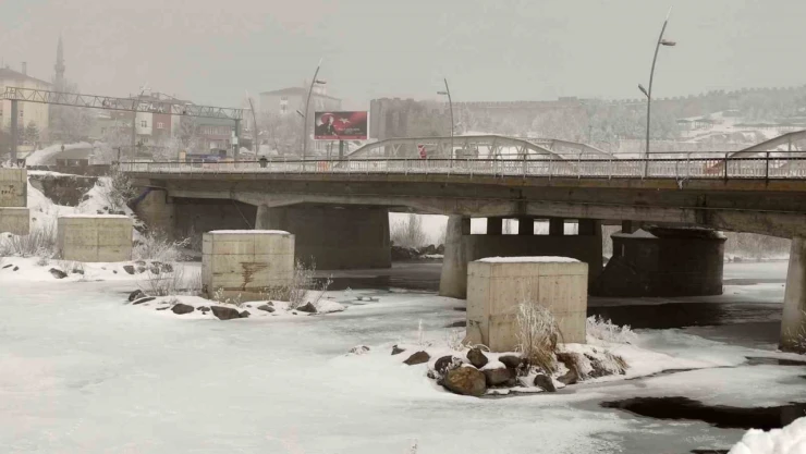 Ardahan'da dondurucu soğuk: Ağaçlar kırağı tuttu
