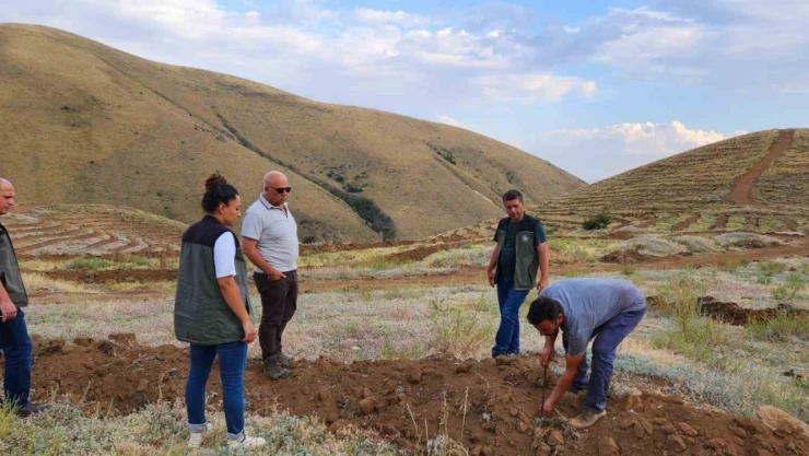 Ayatay, Çayırlı ve Otlukbeli'de yapılan çalışmaları yerinde inceledi