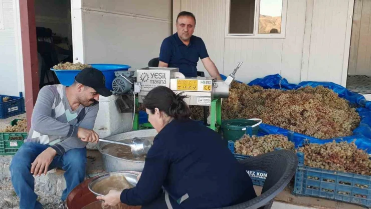 Bağbozumunda teknolojik aletler kullanılıyor