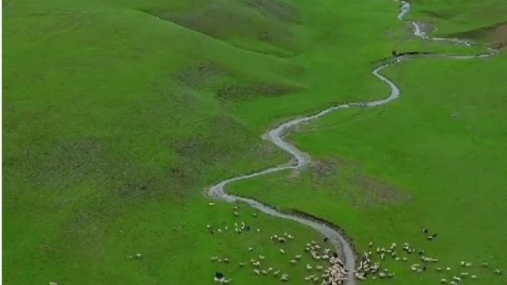 Bahar geldi, yeşillikler arasındaki menderesler hayran bıraktı
