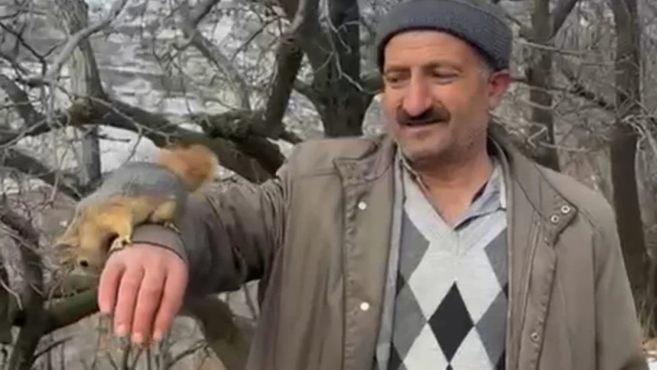Bahçesaray'ın sevimli sincabı ilgi odağı oldu