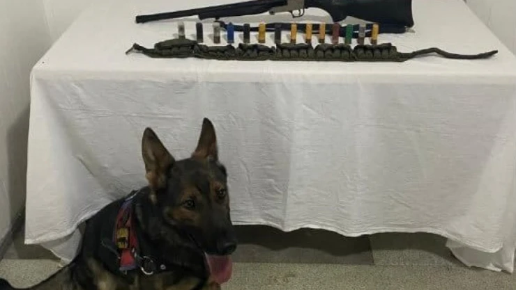 Bingöl'de 2 adet ruhsatsız av tüfeği ele geçirildi