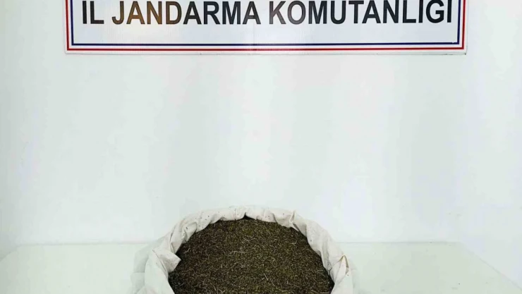Bingöl'de 3 kilo 650 gram uyuşturucu madde ele geçirildi