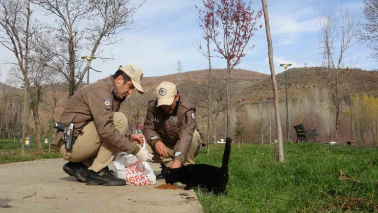 Bingöl'de HAYDİ ekipleri can dostları unutmuyor