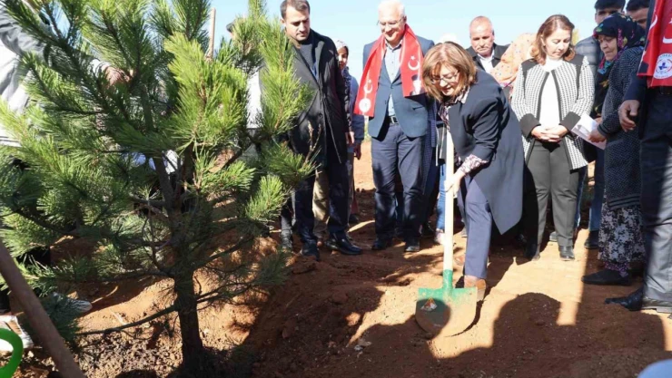 Büyükşehir, Taşlıca Malazgirt Mahallesi'nde ağaç dikimi yaptı