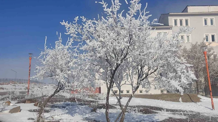 Çaldıran buz kesti