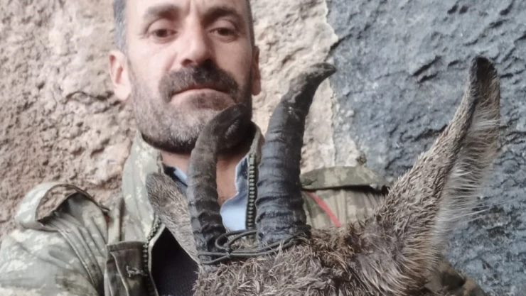Doğada bitkin düşen dağ keçisi ekiplere teslim edildi
