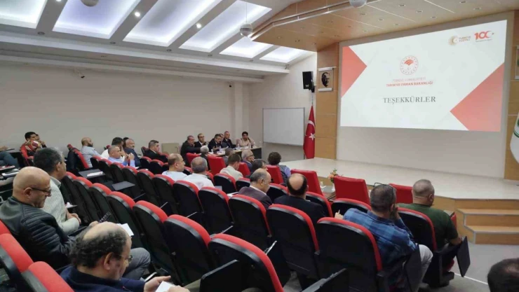 Erzincan 3 projeye daha onay aldı