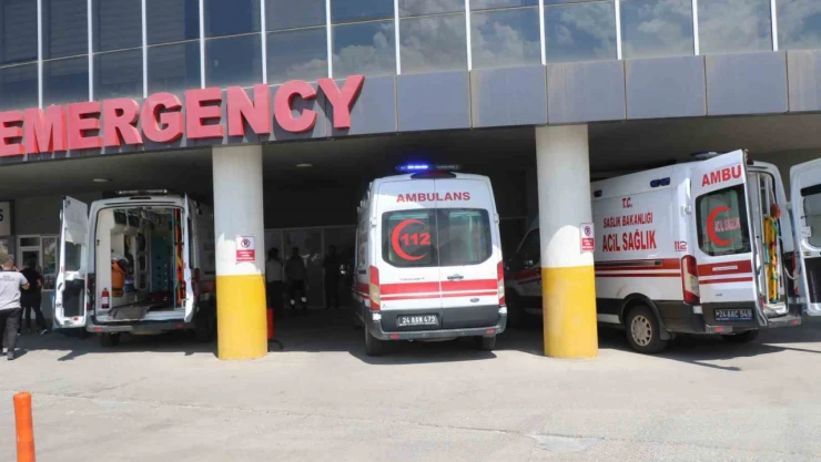 Erzincan'da başıboş köpekler bahçede oturan yaşlı kadına saldırdı