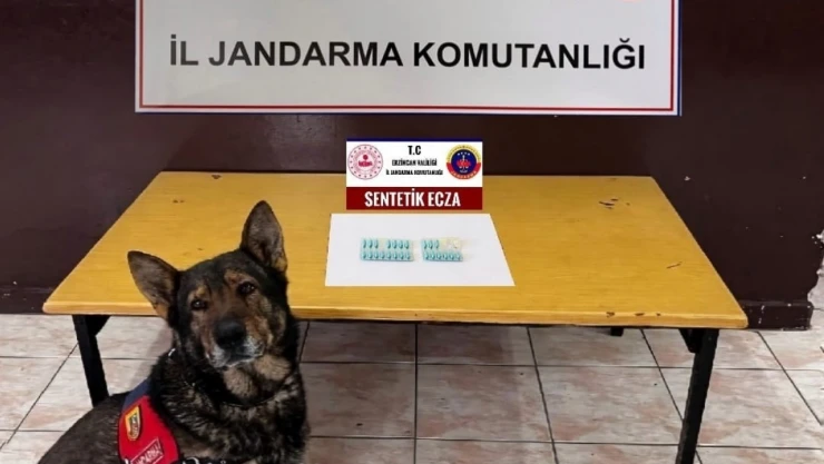 Erzincan'da jandarma mıntıkasında Ağustos ayında meydana gelen olayların yüzde 98'i aydınlatıldı