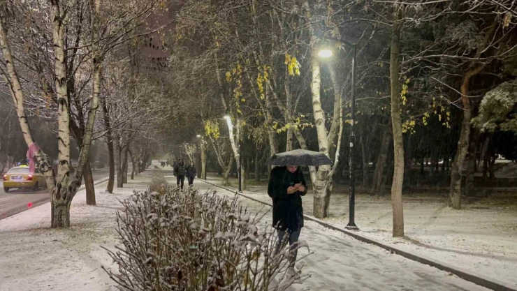 Erzurum'da kar yağışı etkili oluyor