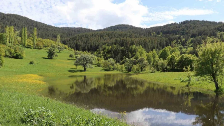 Erzurum'un yaylalarında bahar esintisi