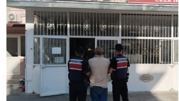 Fıstık hırsızlığına jandarmadan suçüstü: 3 tutuklama