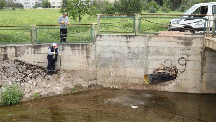 Gaziantep'te haşerelere karşı 165 bin noktada ilaçlama yapılıyor