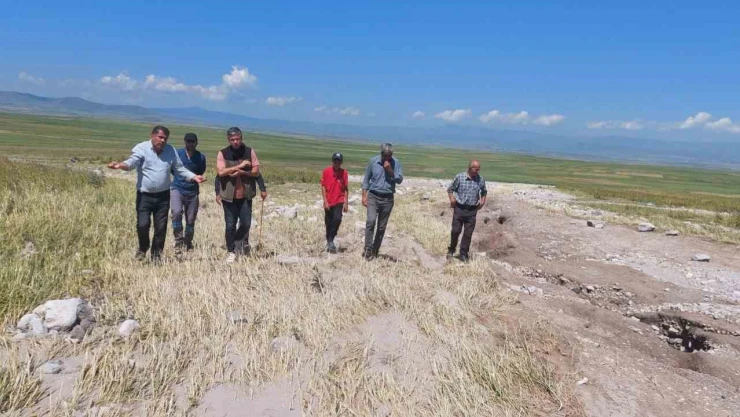 Kars'ta ekili araziler yağmurdan zarar gördü