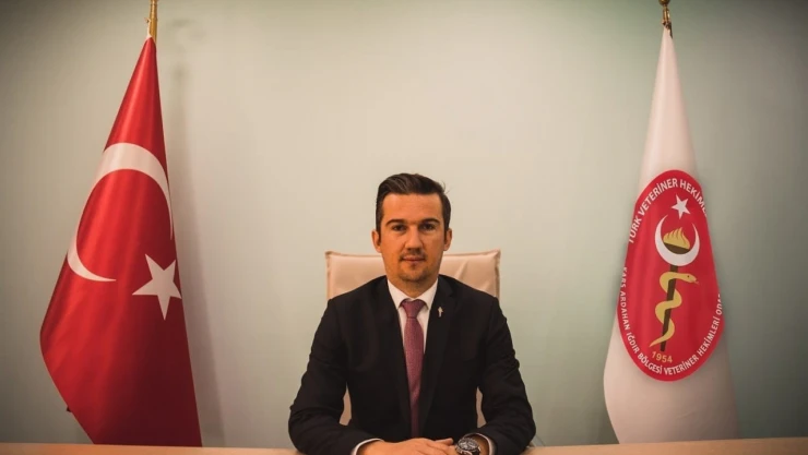 Kars'ta VHO'dan sahipsiz hayvanlar için eylem planı çağrısı