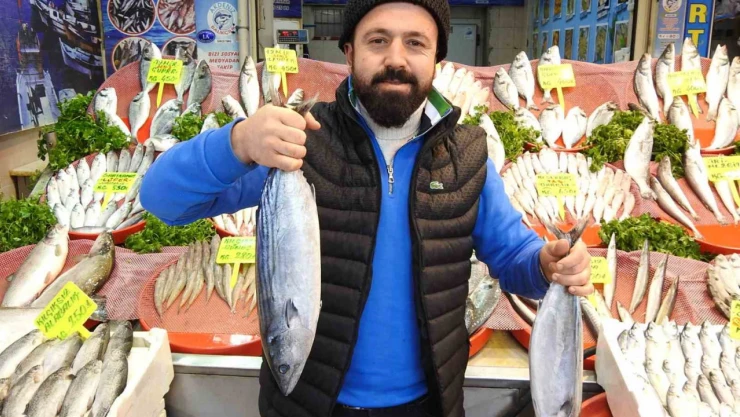 Kebap şehri Gaziantep'te vatandaşlar balığa yöneldi