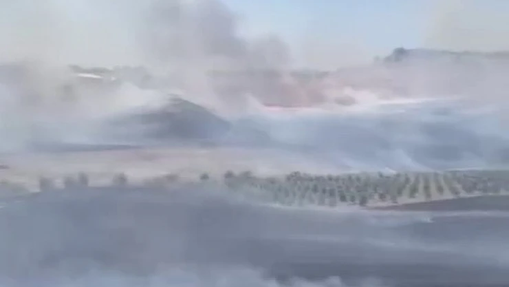 Köyde çıkan anız yangını güçlükle söndürüldü