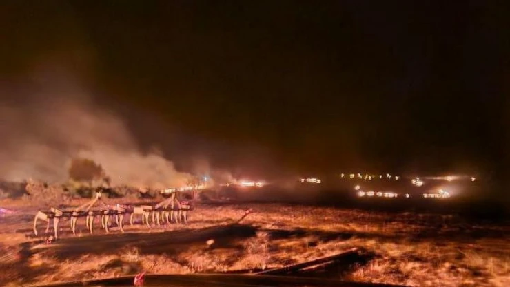 Kuru ot yangını korkuya neden oldu