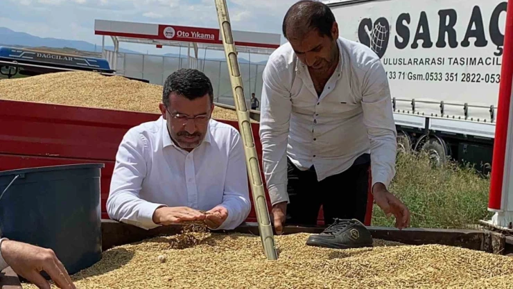 Milletvekili Çalkın, TMO alımlarını yerinde inceledi