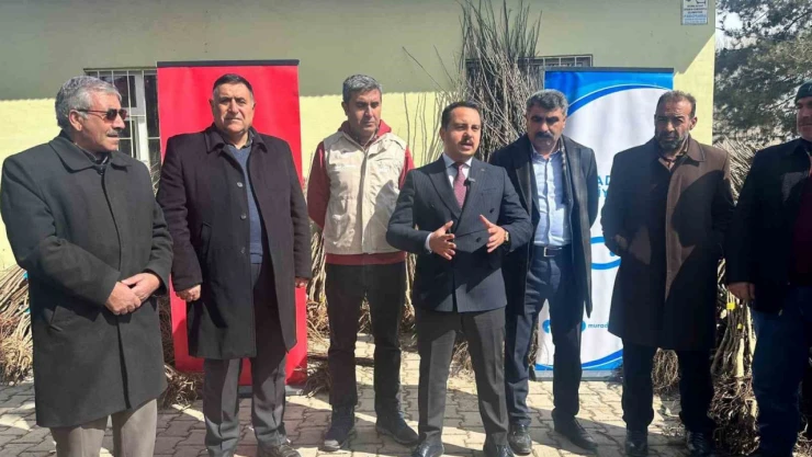 Muradiye'de çiftçilere 16 bin adet meyve fidanı dağıtıldı