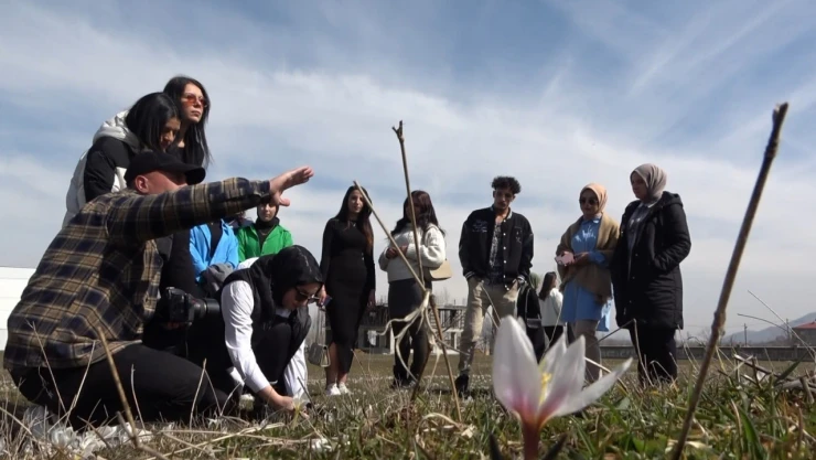 Muş'ta fotoğrafçılar kardelenlerin güzelliğini objektiflerine taşıdı