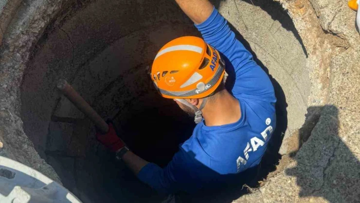 Muş'ta kanalizasyon çukuruna düşen yavru köpek kurtarıldı