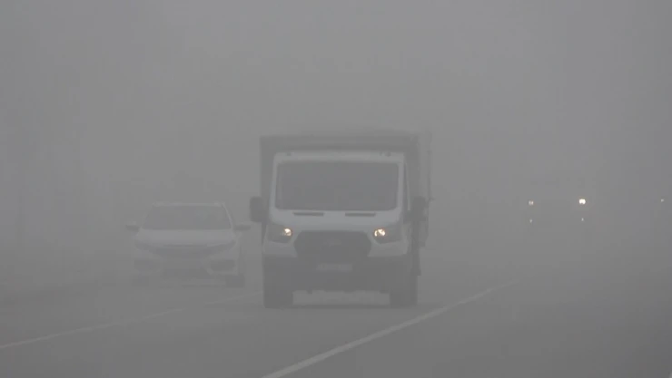 Muş'ta sis etkili oldu