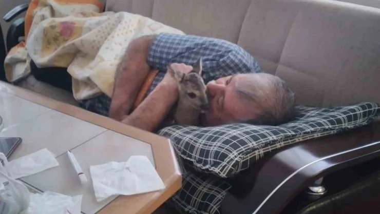 Öldü sandı, can suyuyla hayata bağladı