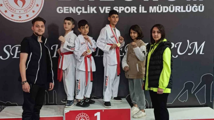Oltulu minik tekvandocular il birincisi oldu
