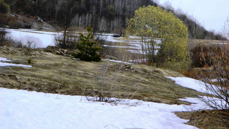 Posof'ta dört mevsim yaşanıyor