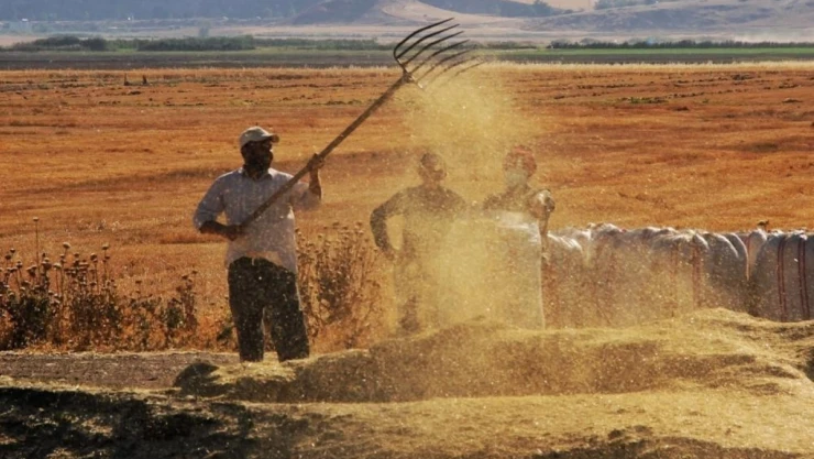 Tarım-ÜFE Nisan'da yıllık yüzde 60,77 arttı
