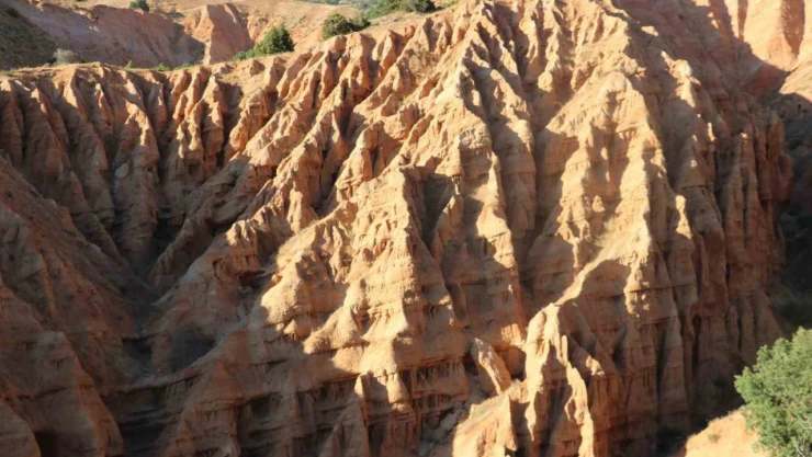 Ürküten ismine rağmen güzelliğiyle mest ediyor