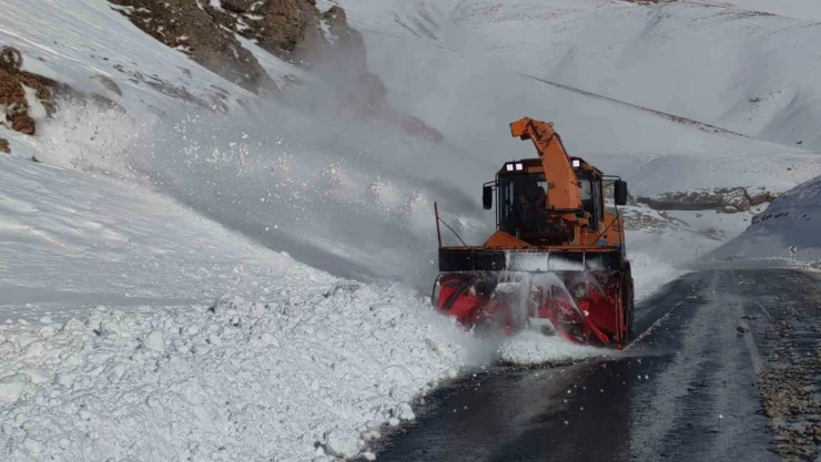 Van Bahçesaray yoluna düşen çığ bölgeleri temizleniyor