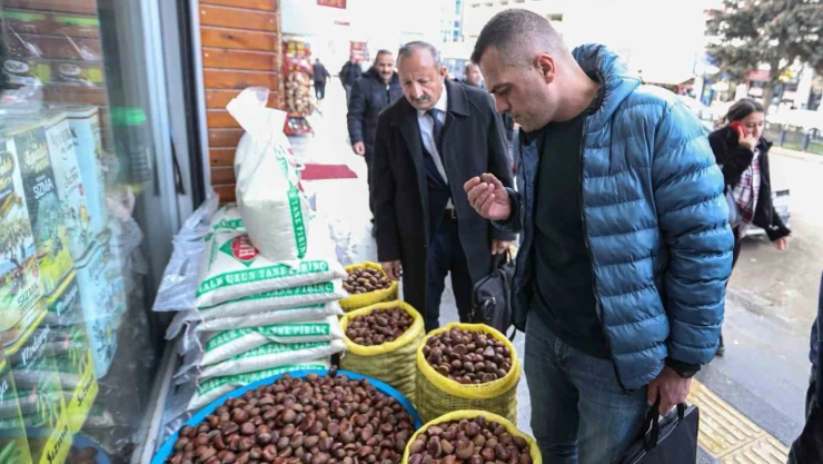 Van'da 'Çin kestanesi' denetimi