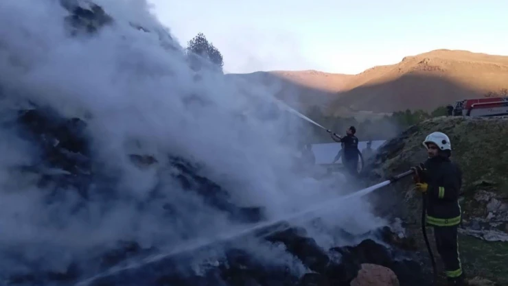 Van'da 9 bin 500 bağ ot yandı