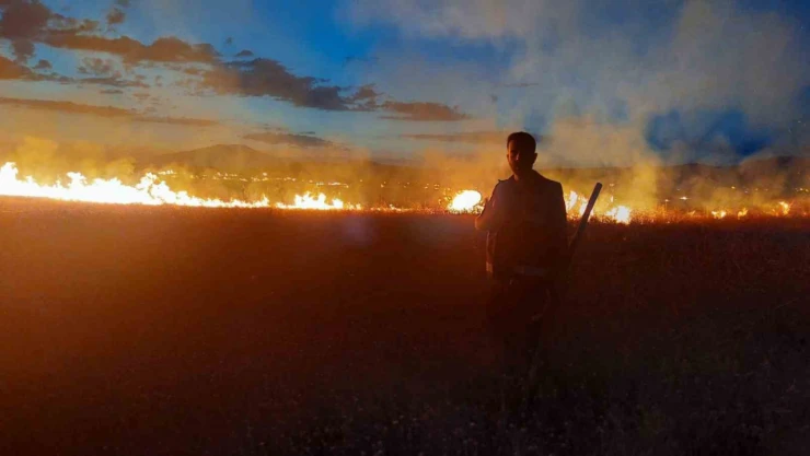 Van'da anız yangını